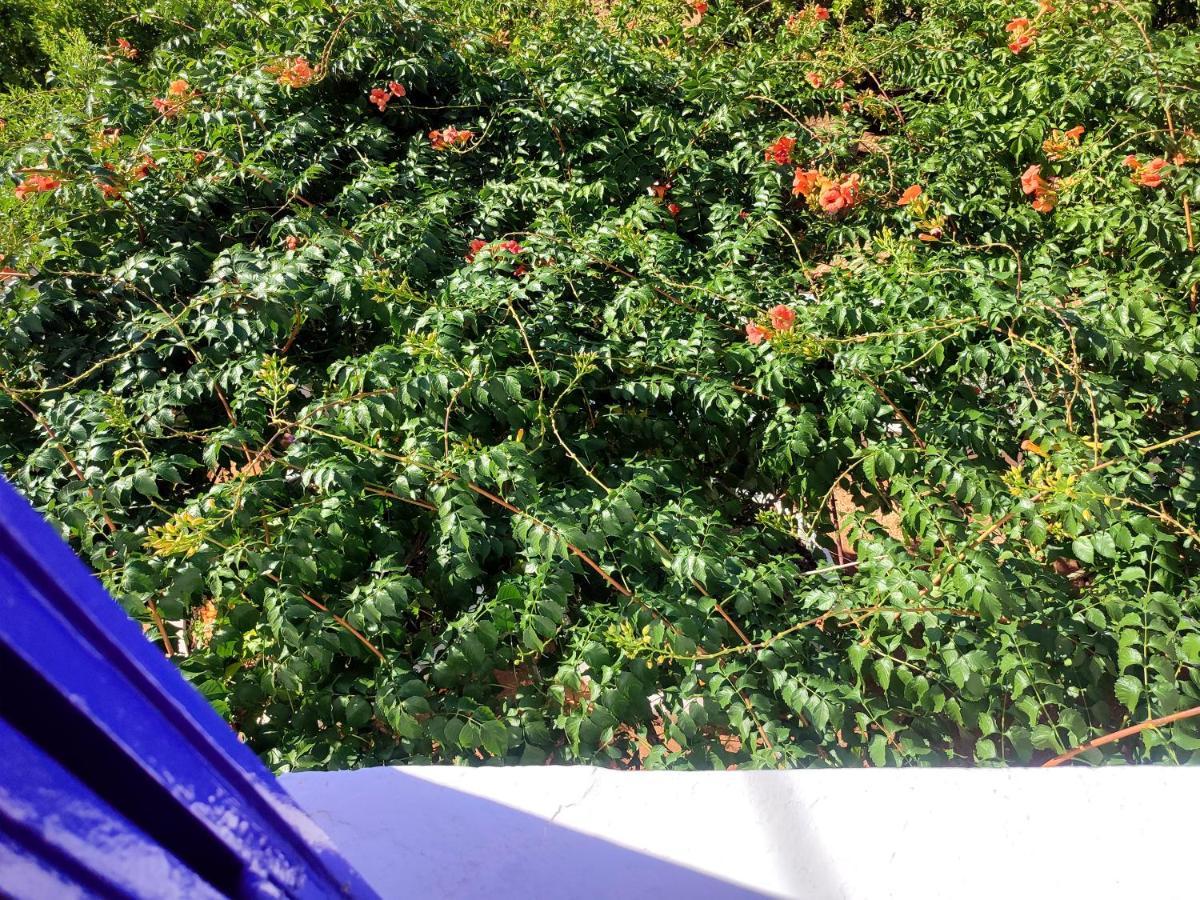 瓦西Anticlea I别墅 外观 照片